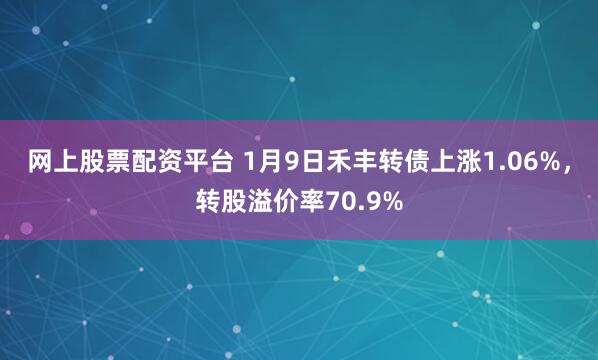 网上股票配资平台 1月9日禾丰转债上涨1.06%，转股溢价率70.9%